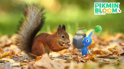 オータムシールデコピクミン