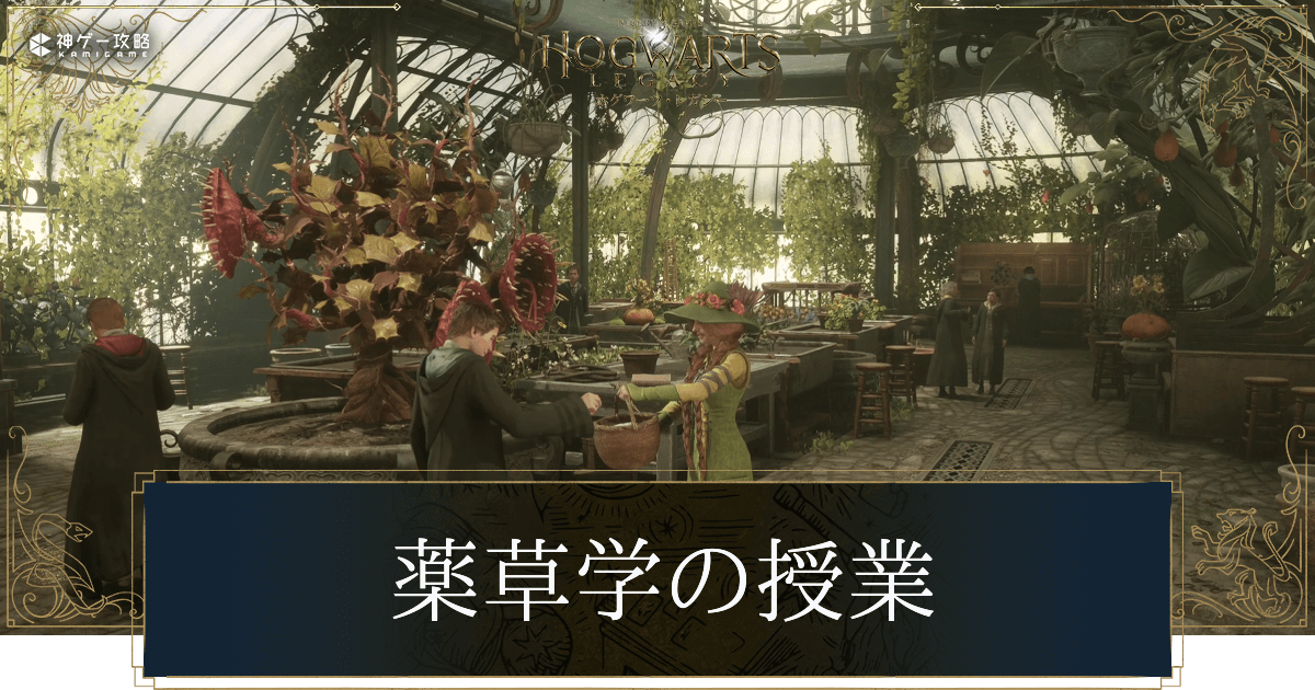 薬草学の授業