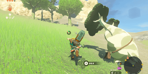 ラブラー山鳥望台南東のボックリンと話す