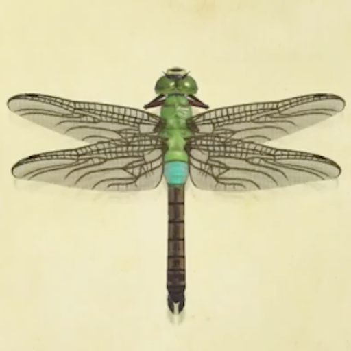 ギンヤンマの値段と捕まえるコツ