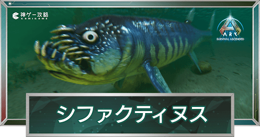 シファクティヌス