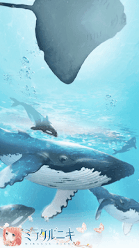 ディープオーシャン