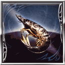 ユディスティラシュリンプ