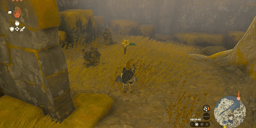 花を追いかける