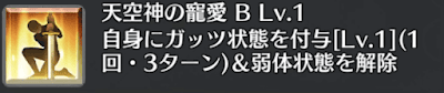 天空神の寵愛[B]