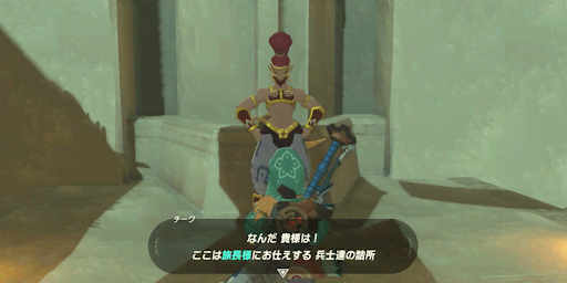 BotW_チークと話