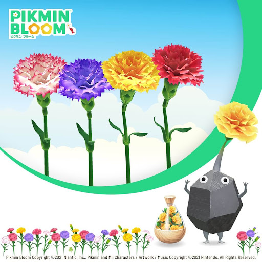 黄色のカーネーション