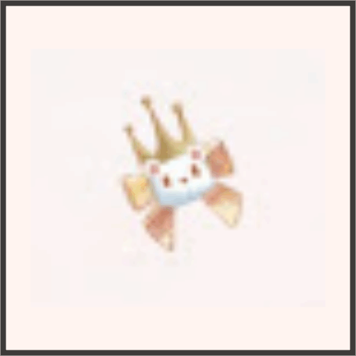 テディ王子（白）