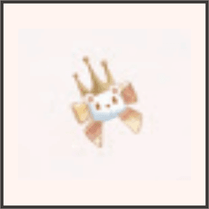 テディ王子（白）