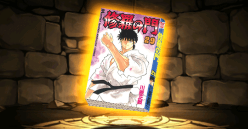 修羅の門の単行本29巻【陸奥九十九】