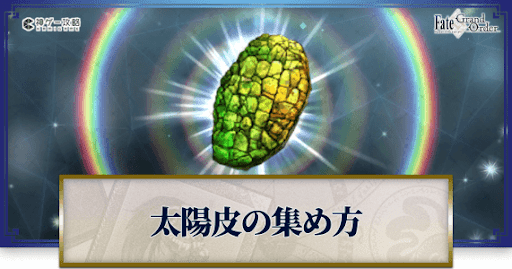 太陽皮の集め方