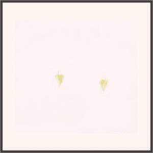 ゴールデントライアングル