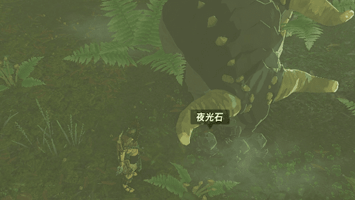 夜光石を持ってドンゴの頭付近に置く