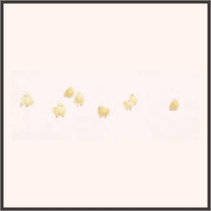 コッコの贈り物