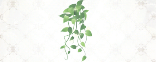 重複アイテムは「観葉植物」に交換される