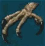 アルゲンタヴィスの鉤爪