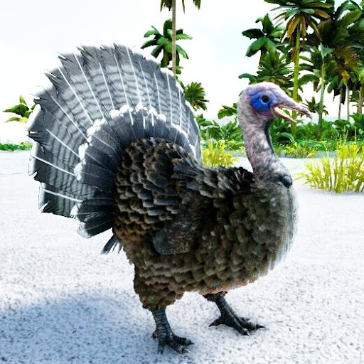 スーパー七面鳥