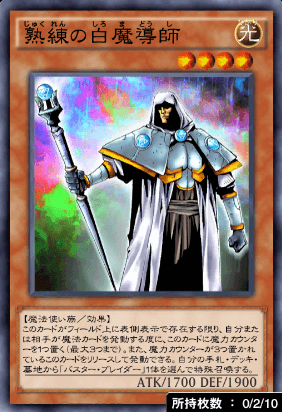 熟練の白魔導師