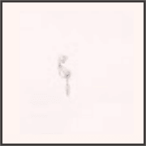 双子の花（夜）