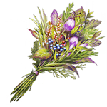 fgo-不気味な薬草