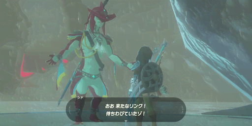 BotW_シドに話しかける