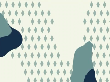 武器迷彩/ポーラーネクサス