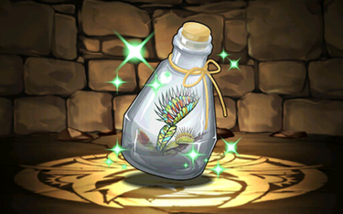 ハエトリグサのハーバリウム