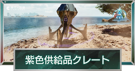 紫色供給品クレート