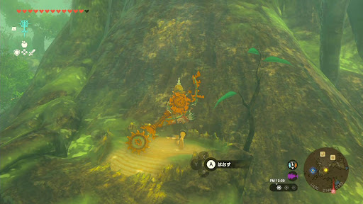 迷いの森⑮株の台