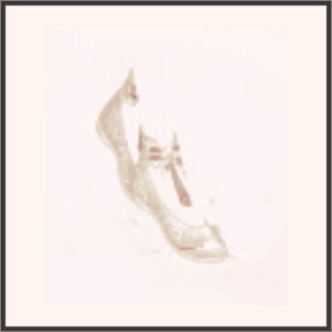 あなたの影を求めて-想