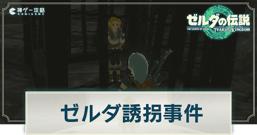 ゼルダ誘拐事件