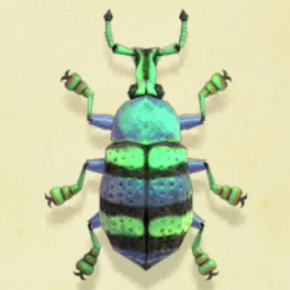 ホウセキゾウムシの値段と捕まえるコツ