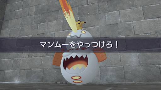 マンムーを倒す