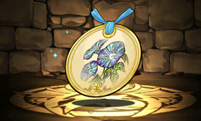 アサガオの標本