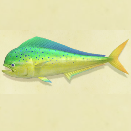 シイラの値段と捕まえるコツ