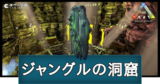 「ジャングルの洞窟」の場所と攻略ルート