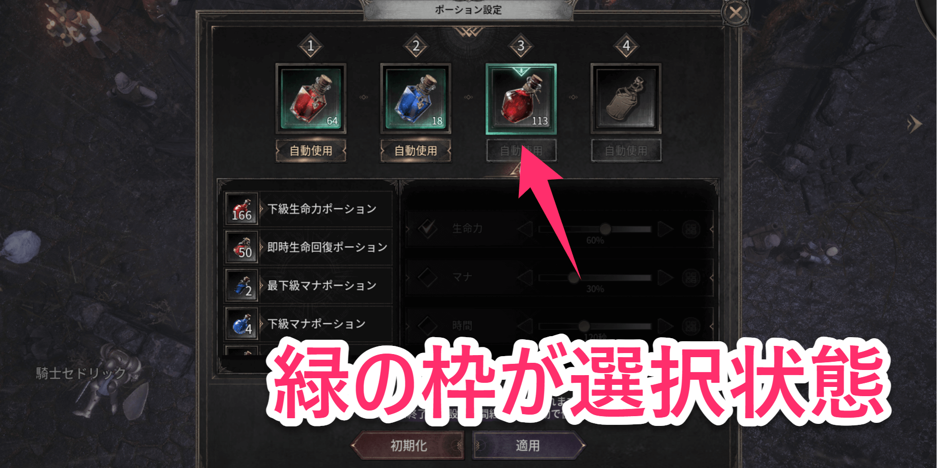 ダークディセンバー_スロットを選択しポーションを装着