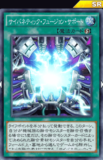 サイバネティック・フュージョン・サポート