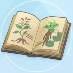 完全なヴォイニッチ手稿のコピー