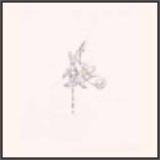 花蔓の囁き（夜）