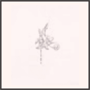 花蔓の囁き（夜）