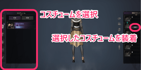 ダークディセンバー_所持コスチューム