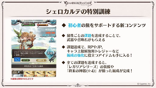 シェロカルテの特別訓練