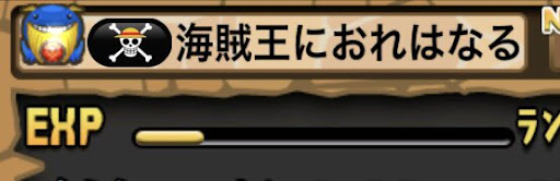 称号麦わらの一味の海賊旗
