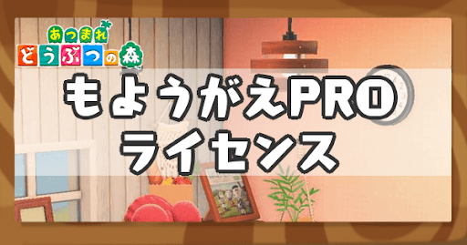 もようがえPROライセンス