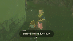 ゼルダBotW＿幸せを運ぶ匠