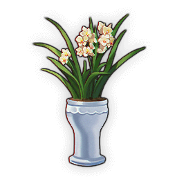 オーキッドの鉢植え