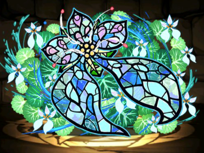 ユキノシタの星光華