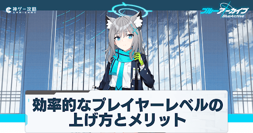 プレイヤーレベルの上げ方