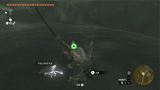 アカリホラウオ